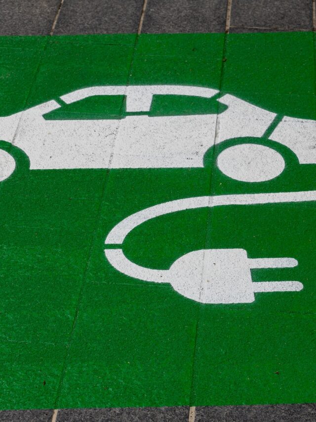 How To Adopt A Sustainable Lifestyle