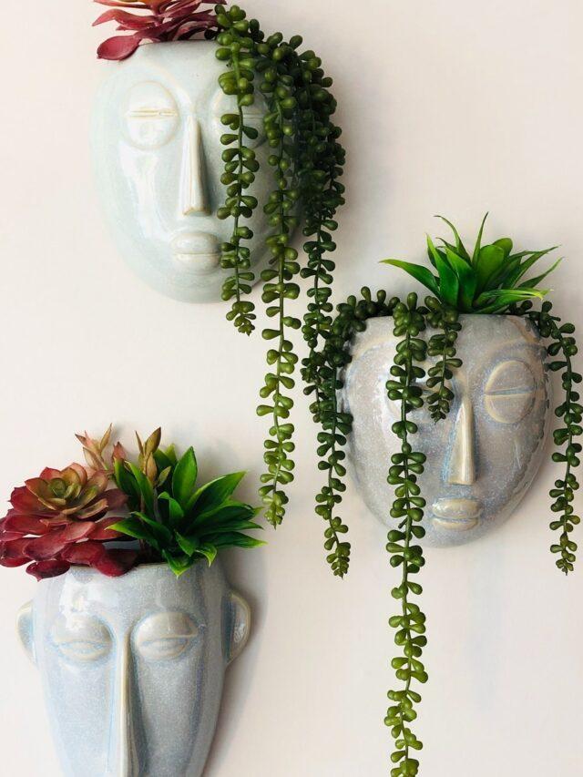 5 Succulent Plants To Grow At Home