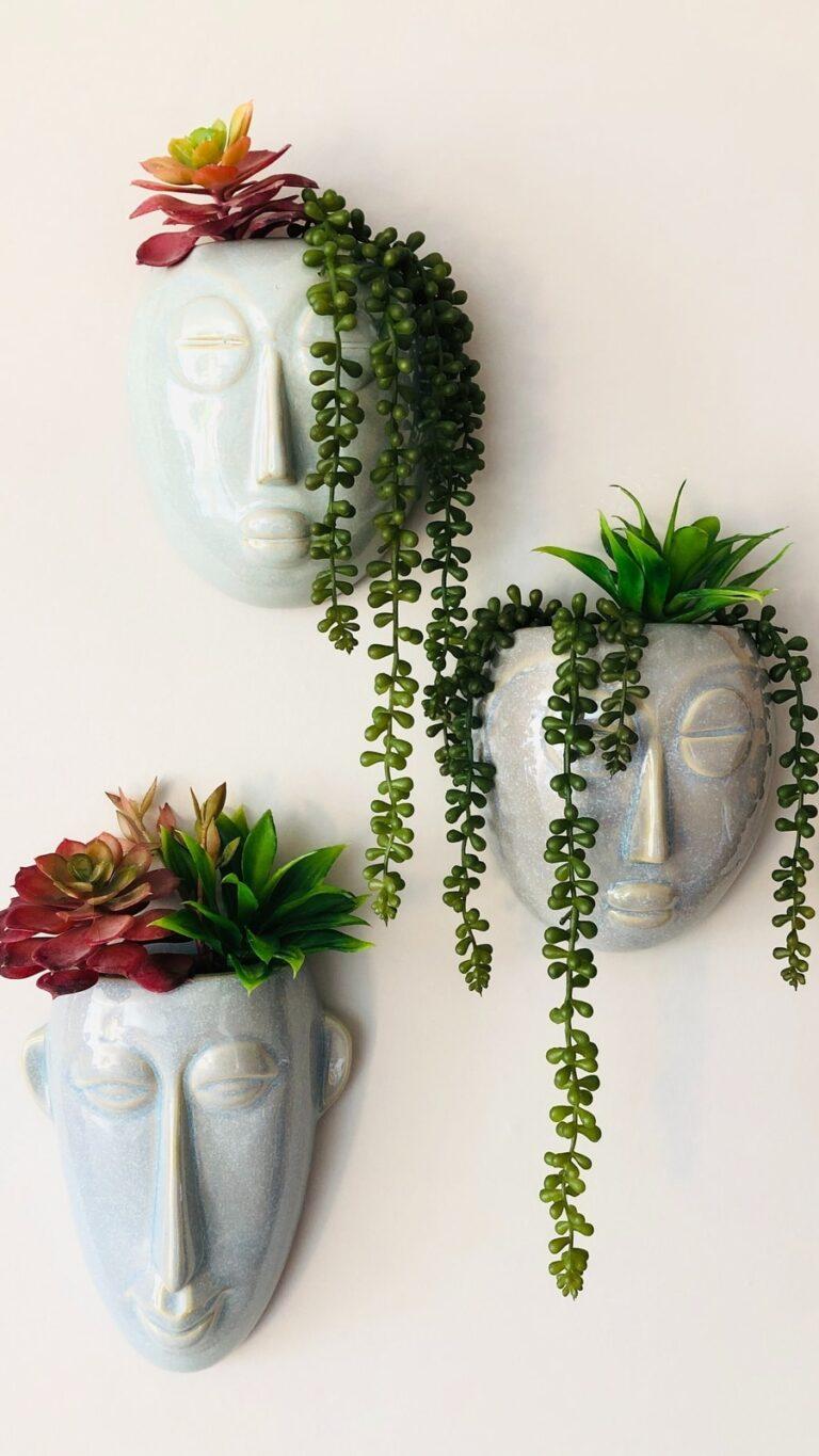 5 Succulent Plants To Grow At Home