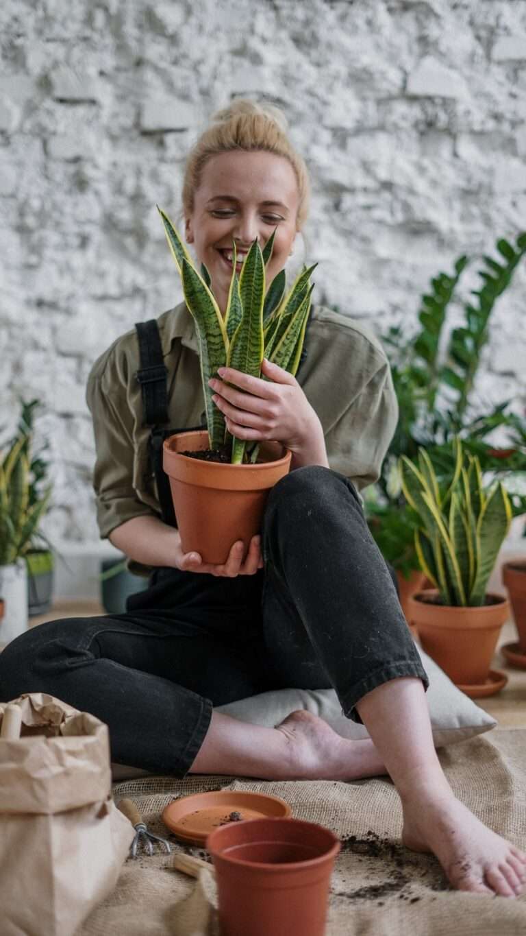 4 Surprising Benefits Of Houseplants