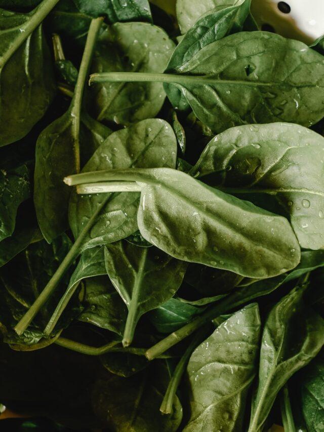 4 Healthy Zinc