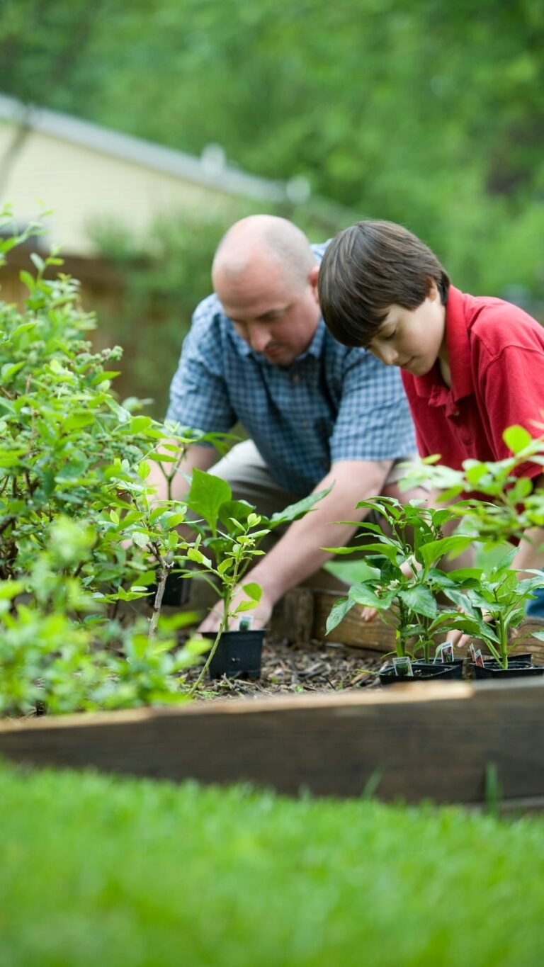 5 Spices You Can Grow In Your Home Garden