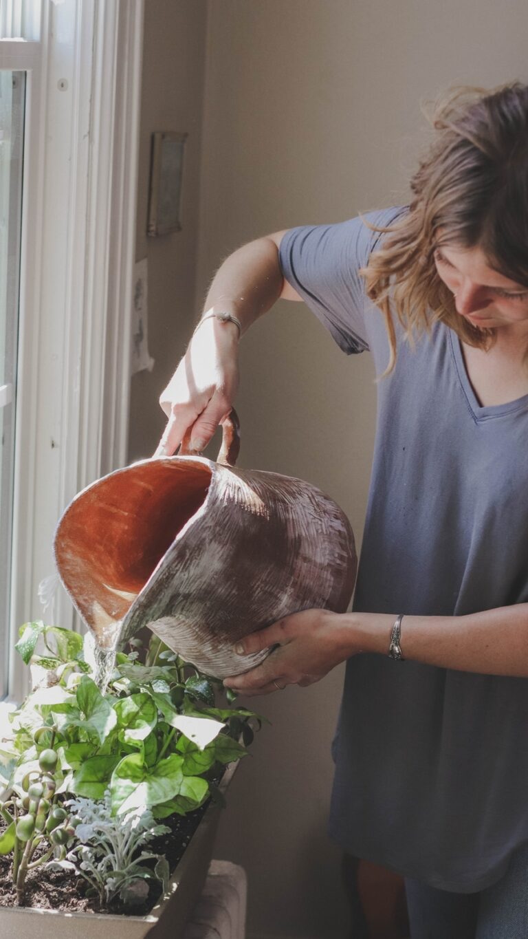 5 Tips To Boost Growth Of Plants